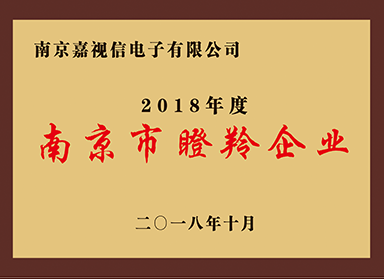 南京市瞪羚企业